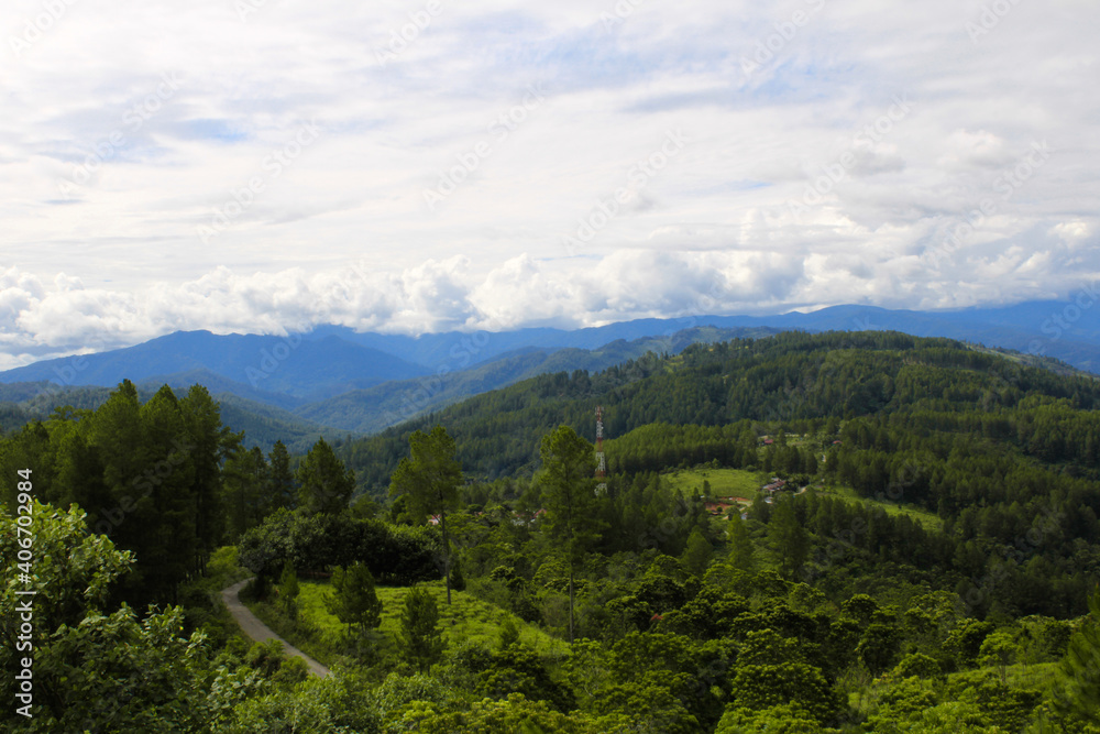 The great nature with trees and cloud with high view background The great nature with trees and cloud with high view background