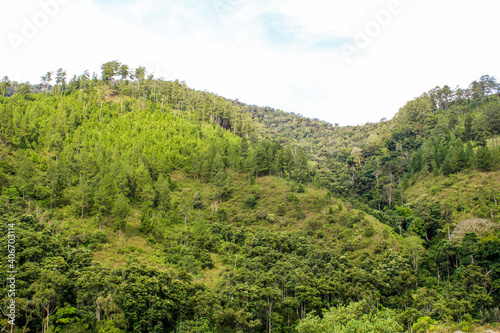 The great nature with trees and cloud with high view background