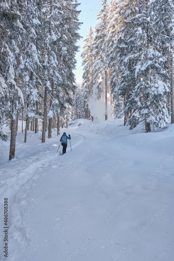 ein Schneeschuh Wanderer geht durch einen frisch verschneiten wald mit schneeschuh rucksach und stöcken
