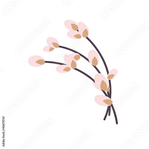  Willow twig isolated on a white background. Easter willow.Flat vector illustration. Design for Easter, packaging