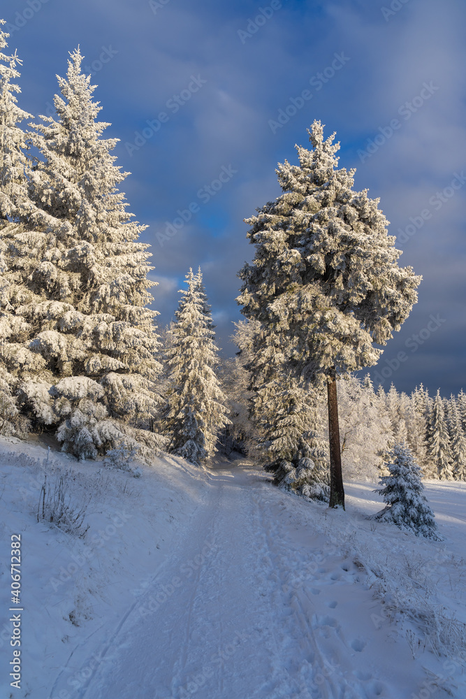 Obraz premium Winterliche Landschaft