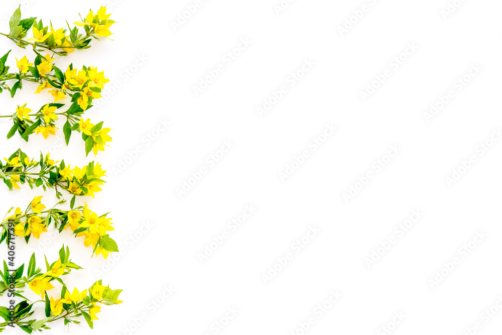 Pattern of yellow flower buds, overhead view Pattern of yellow flower buds, overhead view