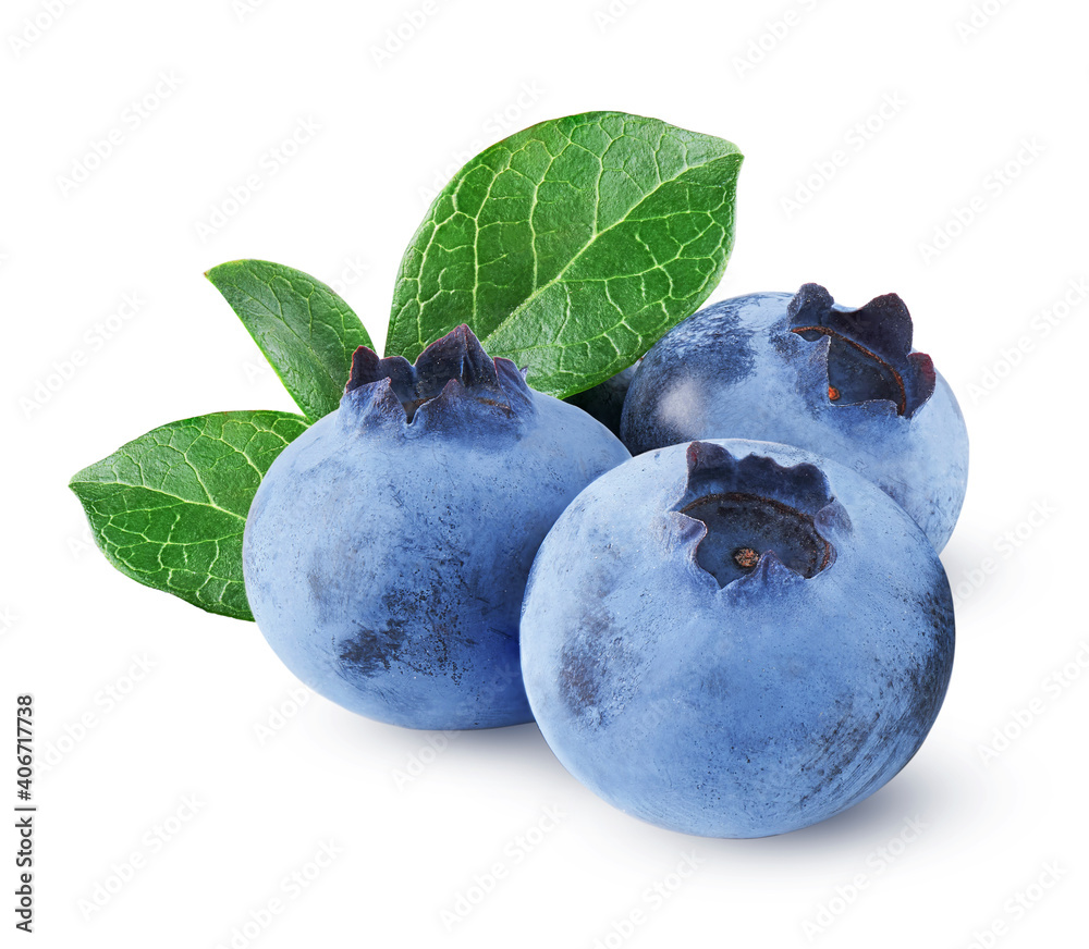 Obraz premium Blueberries isolated on white background 