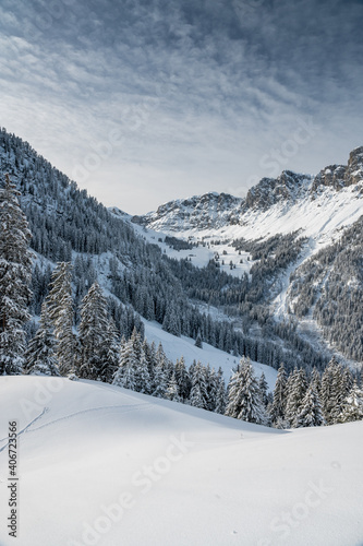 winter in Diemtigtal, Berner Oberland © schame87