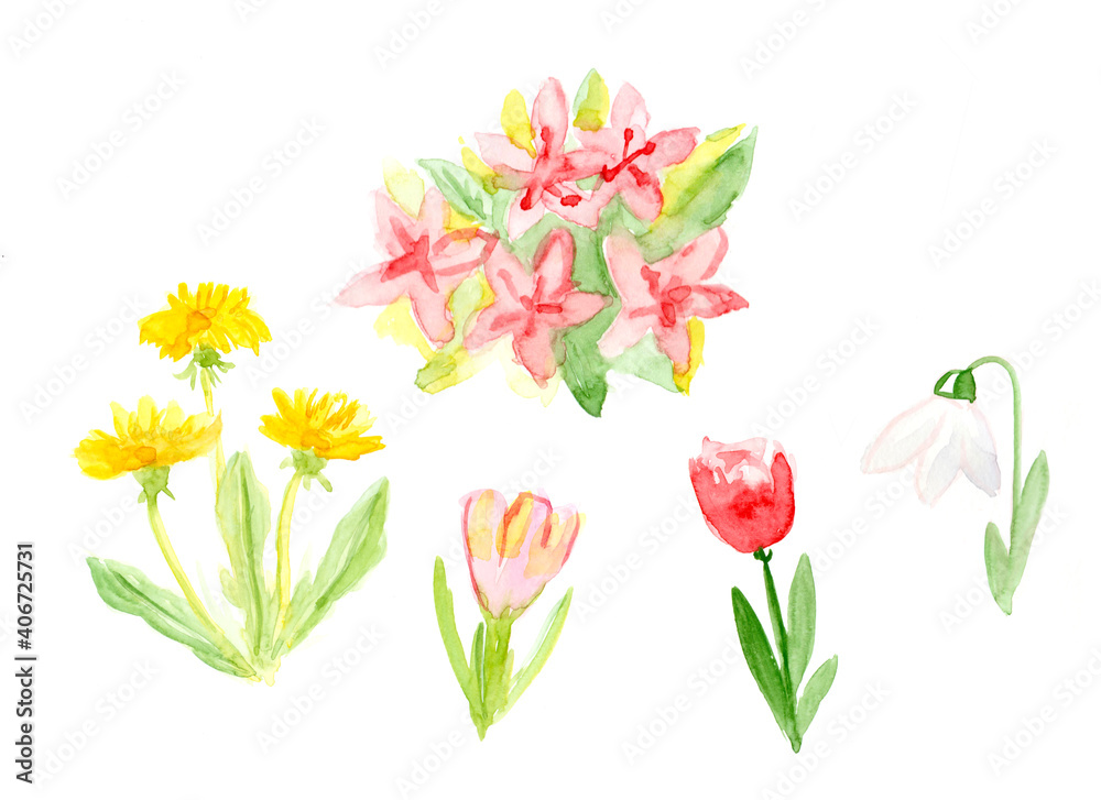 lovely watercolor spring flowers set