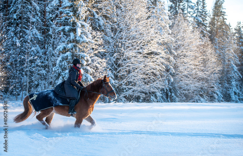 Woman horseback riding in snowy forest in winter in Finland