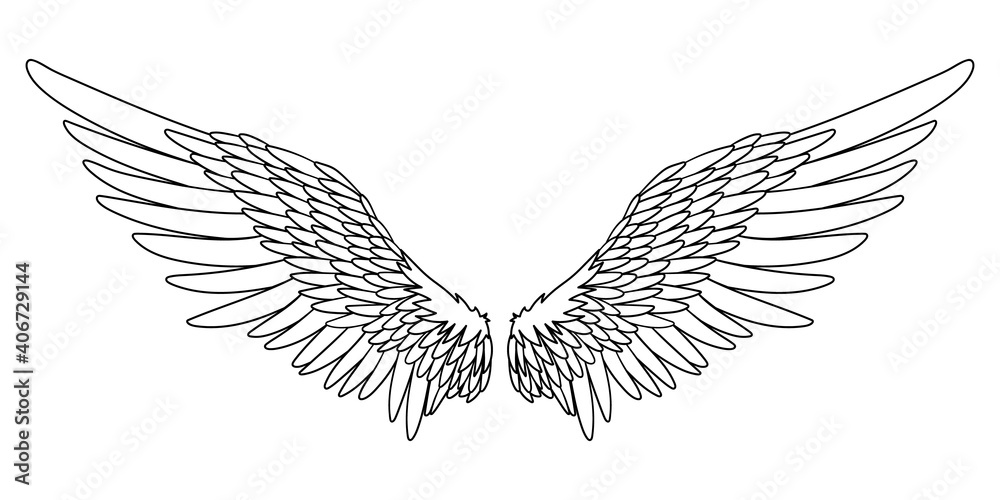 Obraz premium Angel or bird wings abstract sketch isolated on white. vector doodle illustration. For your design