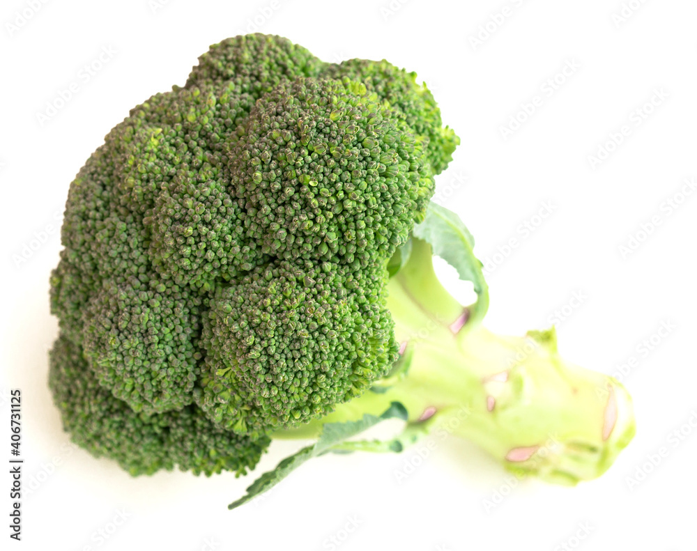 fresh broccoli and florets on white background fresh broccoli and florets on white background