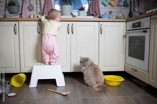 Baby plays in the kitchen,