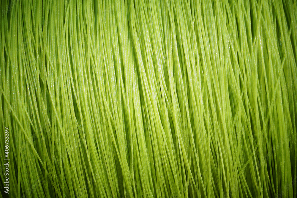 Green texture background Green texture background