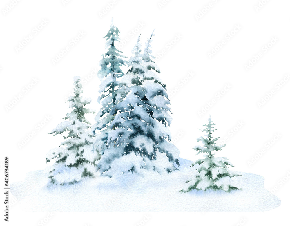 Winter spruce forest with the snow-covered spruces hand drawn in watercolor isolated on a white background. Watercolor winter illustration. Winter landscape.	
