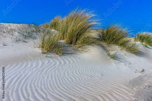 De Hors, Dünenlandschaft auf der Insel Texel, Niederlande photo