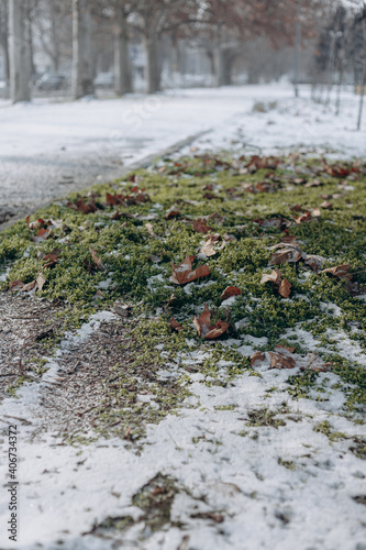 snow on the road 