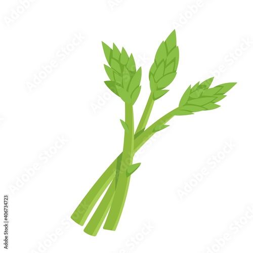 Asparagus Vegetable Icon