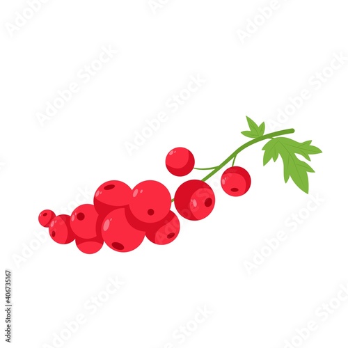 Red Currant Fruit Berry