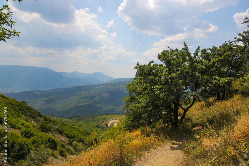 Mountain landscape on a bright summer day.  A tree stands on the edge of the mountain on the background of blue sky and white clouds.  A hiking trail runs on the mountainside with panoramic views. 