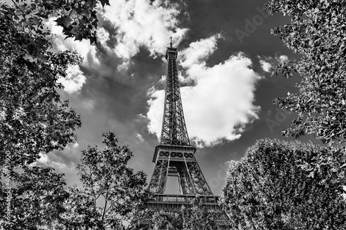 Fototapeta Naklejka Na Ścianę i Meble -  The Eiffel Tower surrounded by green tree leaves in Paris, France