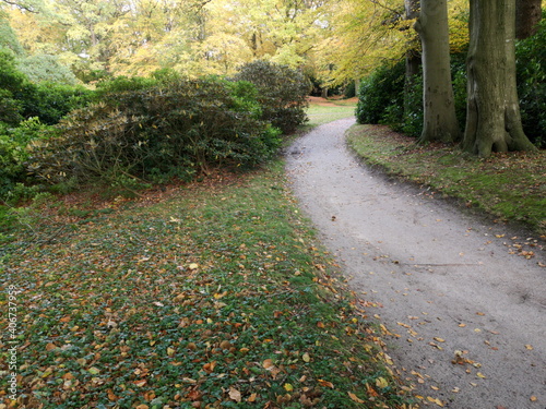 Wanderweg für Spaziergänger im Herbst im Schlosspark Lütetsburg bei Norden in Ostfriesland in Niedersachsen	 photo