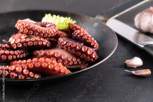 pulpo photo