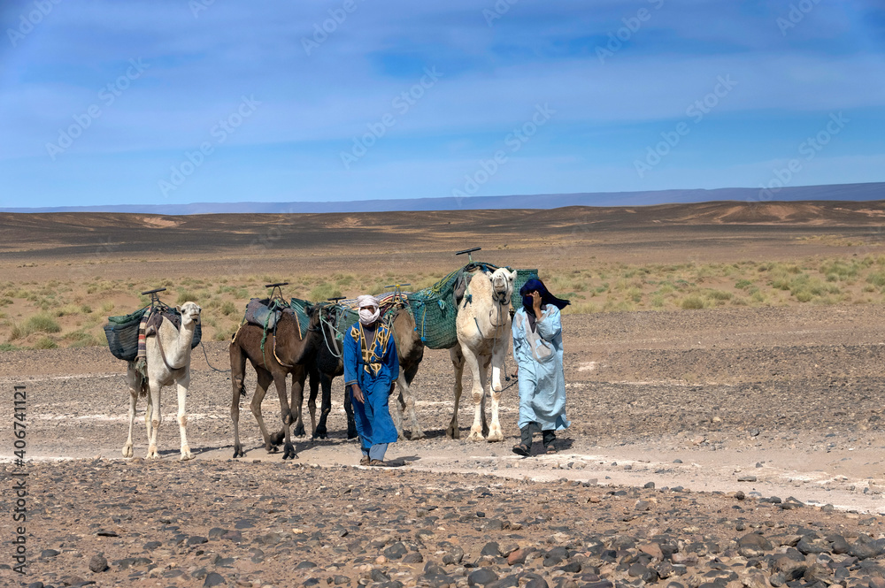 Camels caravan in Sahara desert, along the sand dunes of Erg Chigaga, Morocco, Africa