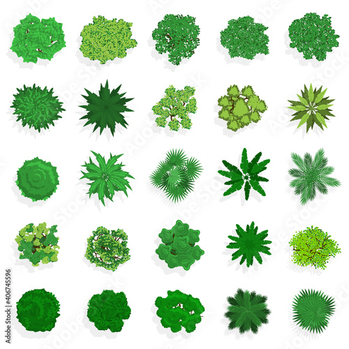 Trees top view. Green plants, bushes, shrubs and trees for landscape or architectural design. Nature green spaces vector illustration set. Different flora elements, vegetation for map or plan