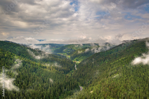 Aerial view of green Carpathian mountains covered with evergreen spruce pine foreston summer sunny day.