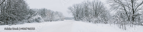 A road in a winter snow-covered forest