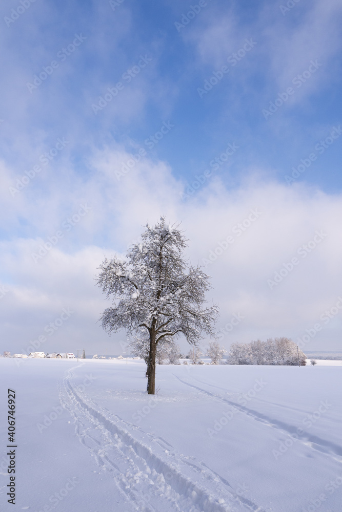 Obraz premium Winterlandscape with snow , tree and blue sky