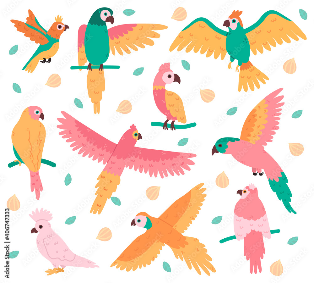 Fototapeta premium Tropical parrots. Jungle colorful birds, cute cockatoo, jaco and budgerigar. Summer tropical parrots vector illustration set. Beautiful wild flying and sitting creatures with feather