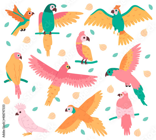 Tropical parrots. Jungle colorful birds  cute cockatoo  jaco and budgerigar. Summer tropical parrots vector illustration set. Beautiful wild flying and sitting creatures with feather