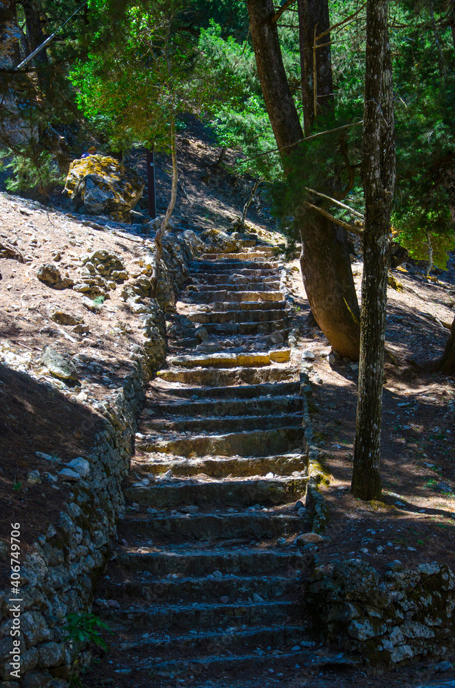 Fototapeta Old stone staircase in the forest landscape