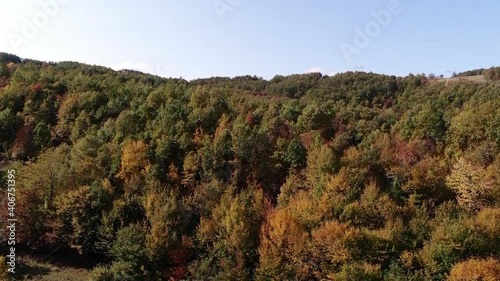 Aerial footage of thick forest and blue sky in back photo