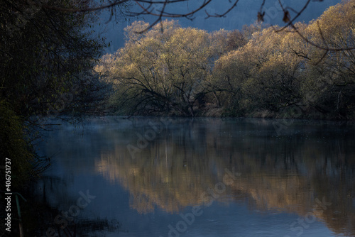 colorful trees and shrubs reflected on the river surface in autumn
