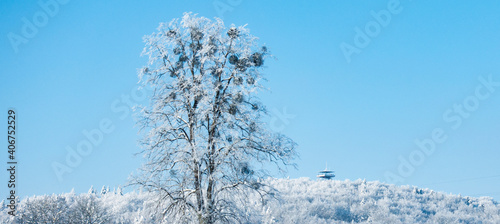 Kaszuby wieżyca zima śnieg drzewo góra