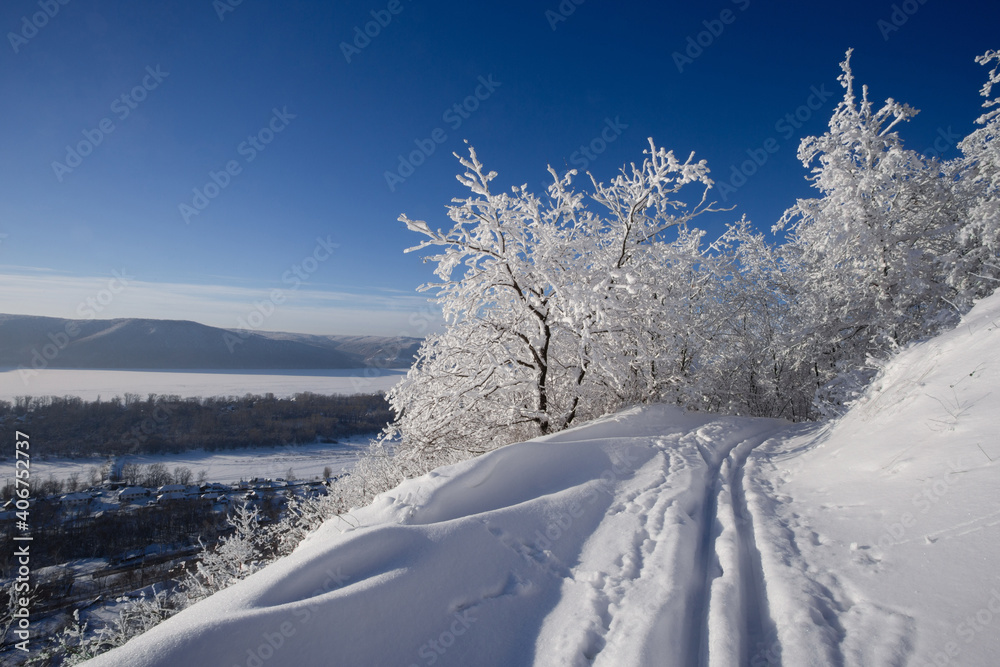 Obraz premium Winter sunny day in frosty forest. Blye sky, snow and sunshine. Ski track on the mountain