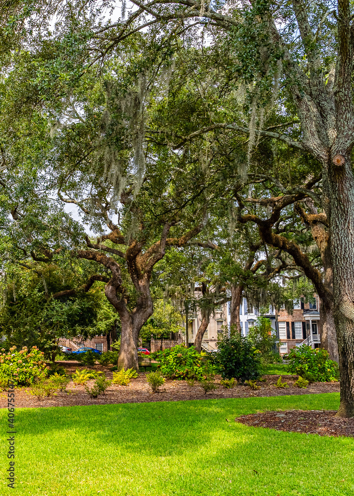 Beautiful park in downtown Savannah, Georgia, USA. Beautiful park in downtown Savannah, Georgia, USA.