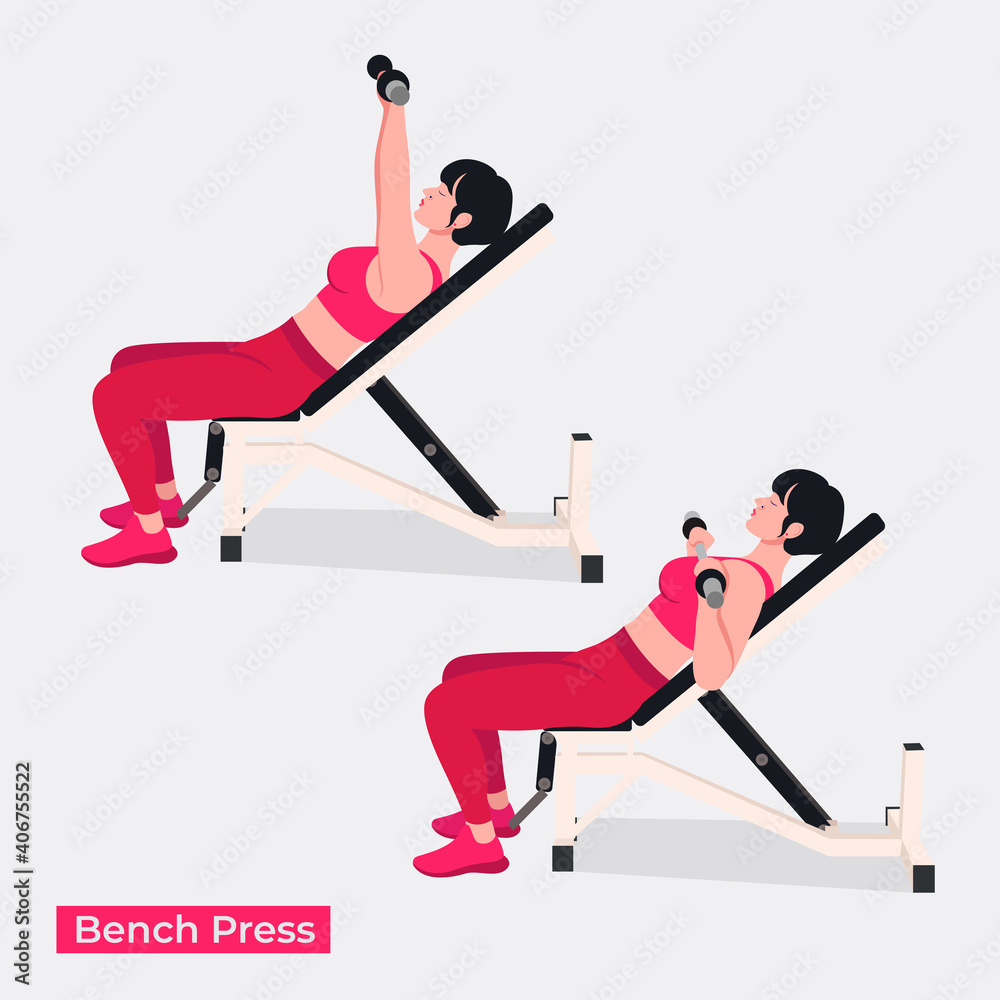 Bench Press exercise, Women workout fitness, aerobic and exercises. Vector Illustration.