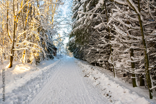 Winter view of the pedestrian road, Livlandarvagen, Karjaa, Raseborg, Finland photo