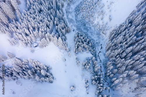View from above on hut in forest clearing in winter with a lot of snow and soft light in tyrol
