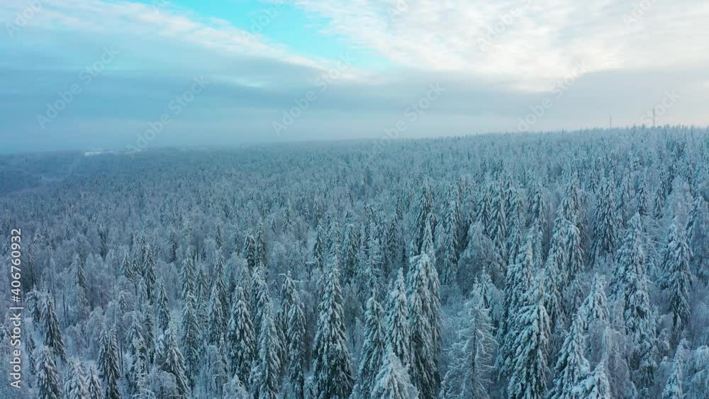 Cinematic aerial view of a cold, snow-covered forest at the top of a hill Cinematic aerial view of a cold, snow-covered forest at the top of a hill