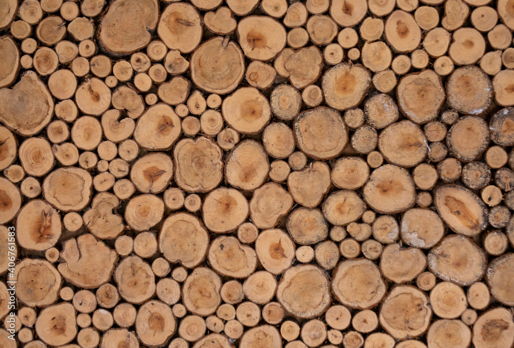 Background of a cut of coniferous trees. Background of a cut of coniferous trees.