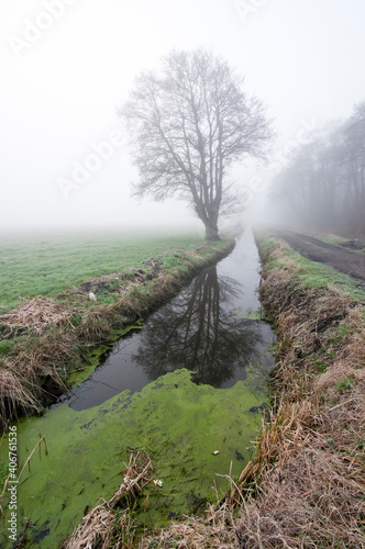 Foggy morning on the Somerset Levels, England