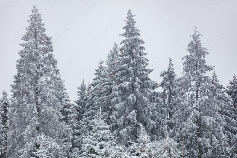 Winterlandschaft mit Neuschnee