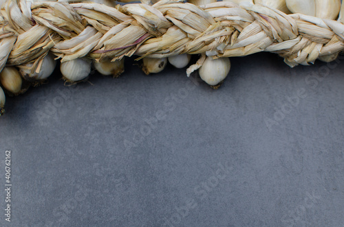 A row of garlic on a gray background. Healthy food concept, folk medicine, harvest. Copy space