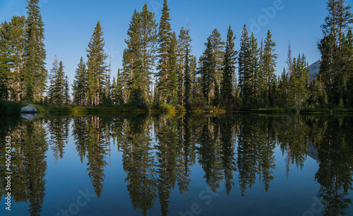 reflection of trees in the lake