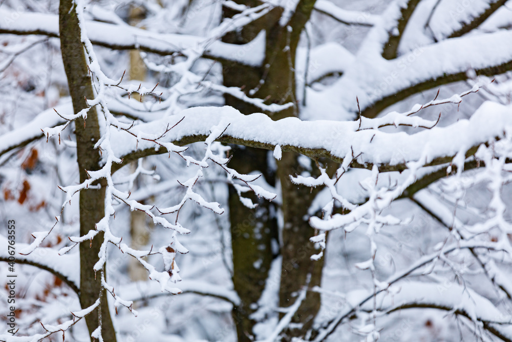Winterlandschaft mit Neuschnee Winterlandschaft mit Neuschnee