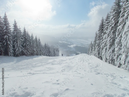 beautiful snowy winter in Krkonose mountains in czechia © luciezr