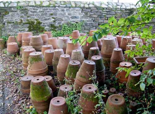Terracotta flowerpots piled up in a garden with moss against a brick wall © Dartmoor Kin