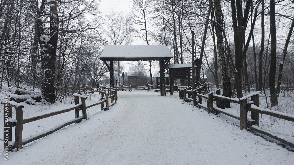 snowy path in the forest between trees and picket fence