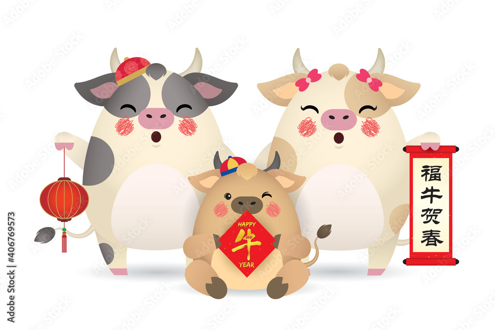 Obraz premium Cute cartoon cow family holding chinese scroll, couplet and lantern isolated on white background. 2021 Chinese new year - year of the Ox flat vector illustration. (translation: Happy new year)